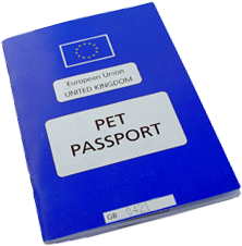 Pet Travel and Brexit