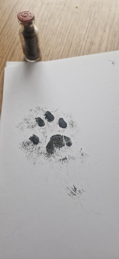 Photo from customer review