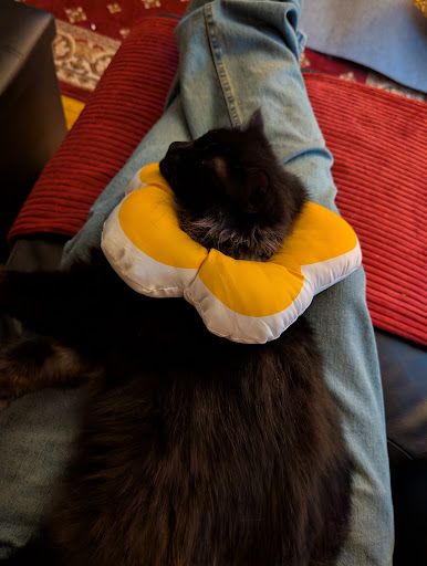 Photo from customer review
